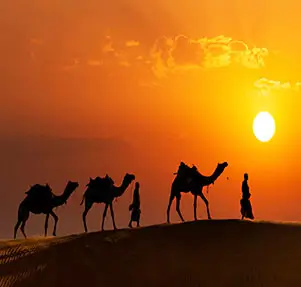 Best-of-Rajasthan