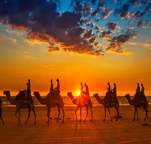 Desert-special-tour-package