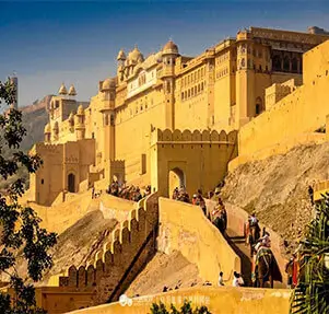 Jaipur1