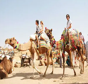 pushkar1