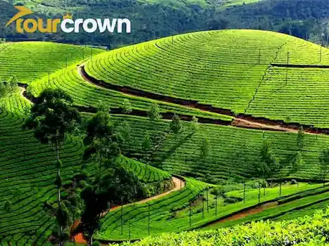 Kerala Tour 4 night 5 days