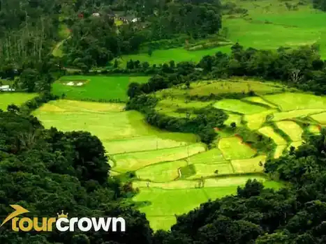 Ooty, Wayanad, Coorg Tour Package