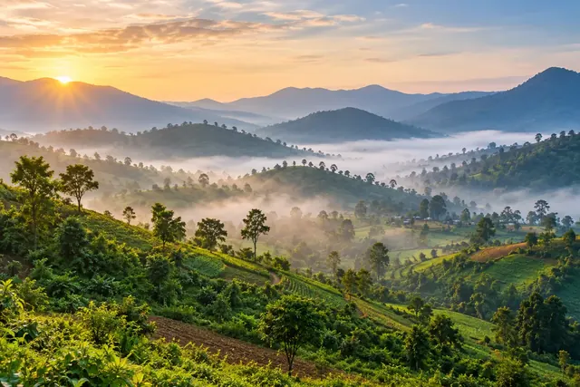 South India vacation package – Tour Crown