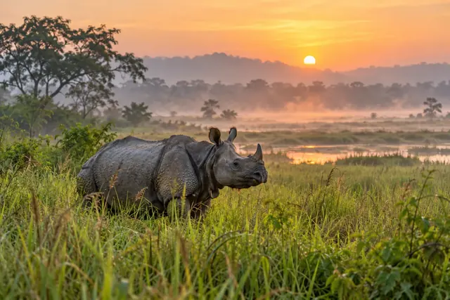 Guwahati – Tour Crown