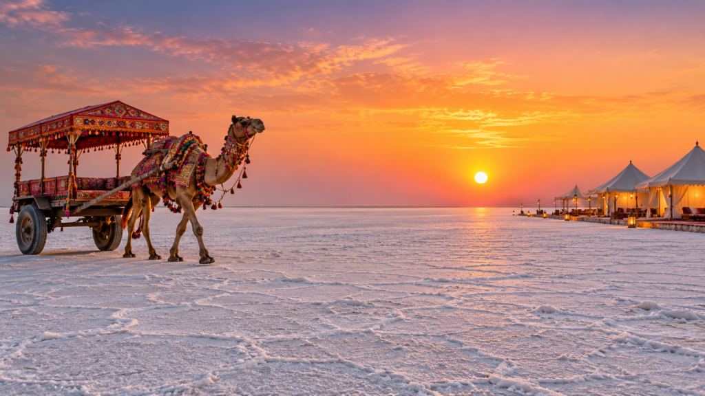 Kutch Kathiwad Tour – Tour Crown