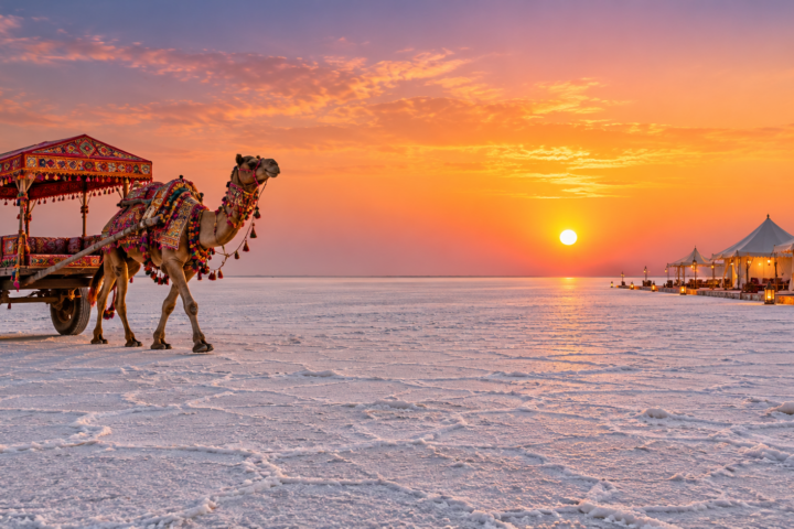 Kutch Kathiwad Tour – Tour Crown